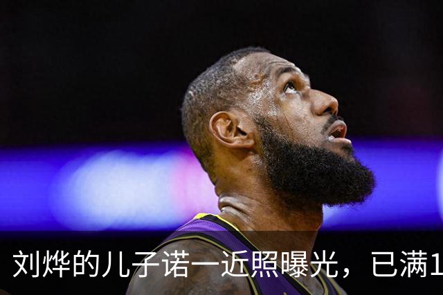 刘烨的儿子诺一近照曝光，已满16岁与父亲相似